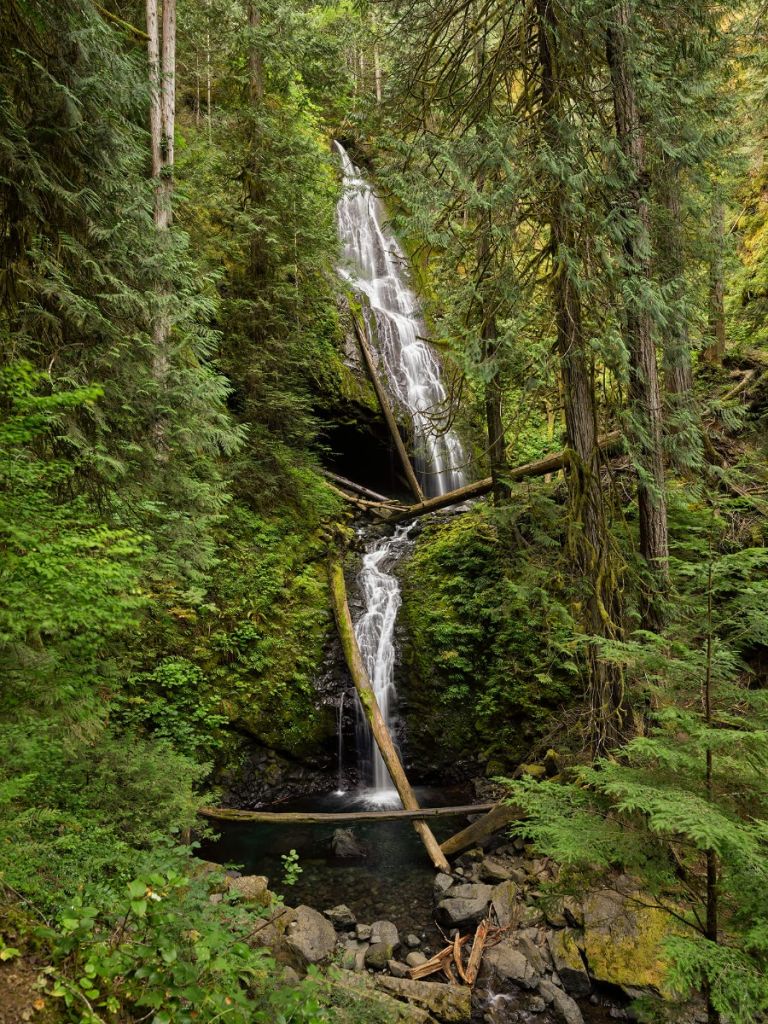 Waterval met omgevallen bomen