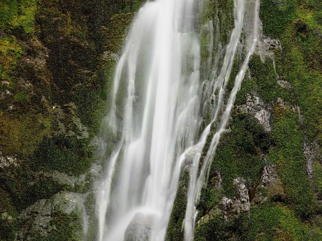 Waterval met mos 