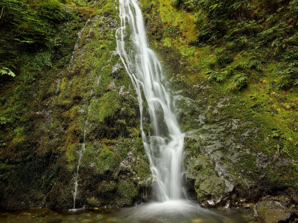 Waterval met prachtig groen 