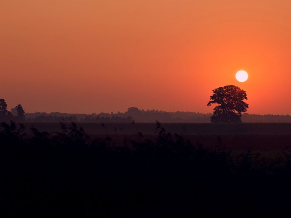 Zonsopkomst