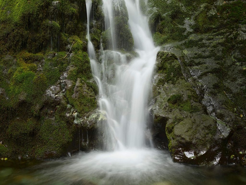Waterval met bos bekleed