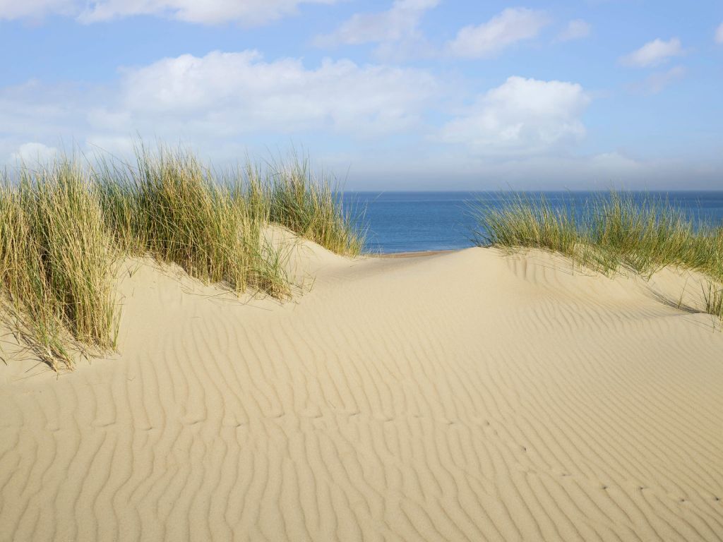 Duin doorgang naar het strand