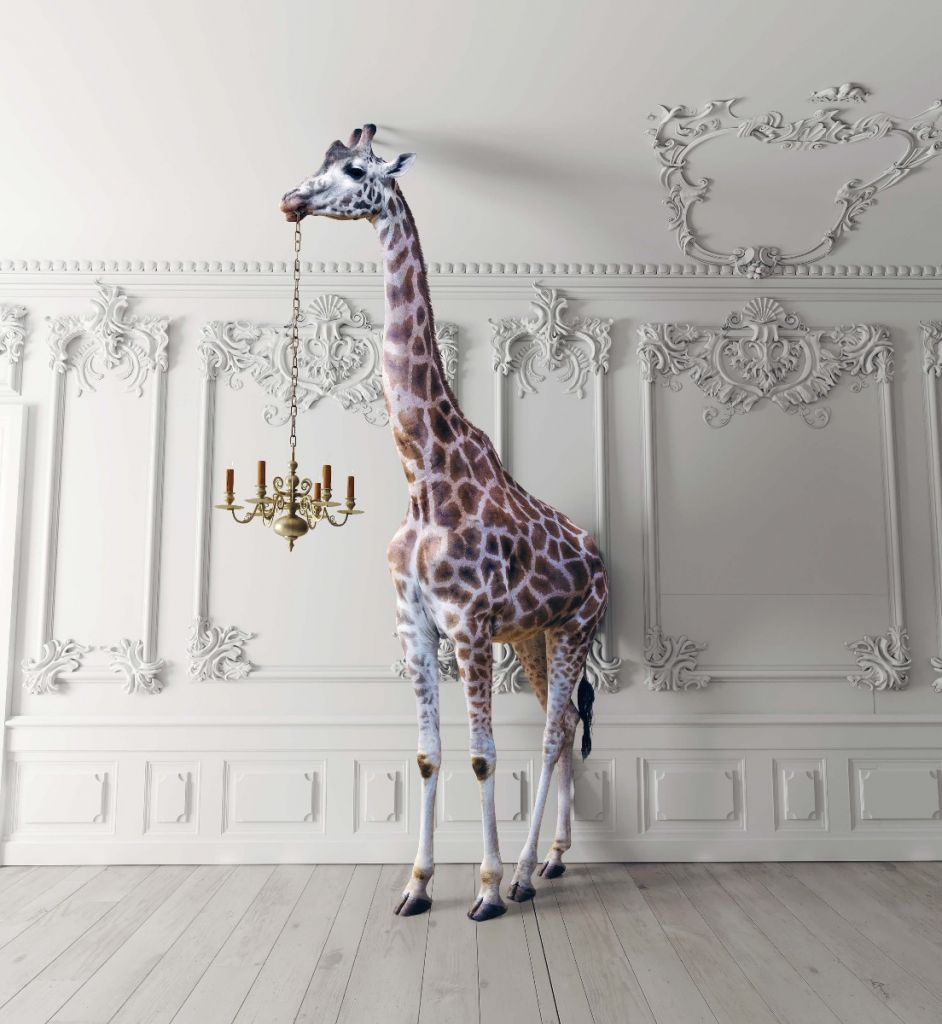 Giraffe met kandelaar