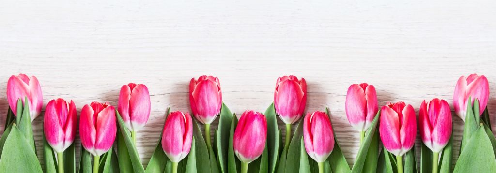 Roze tulpen op hout