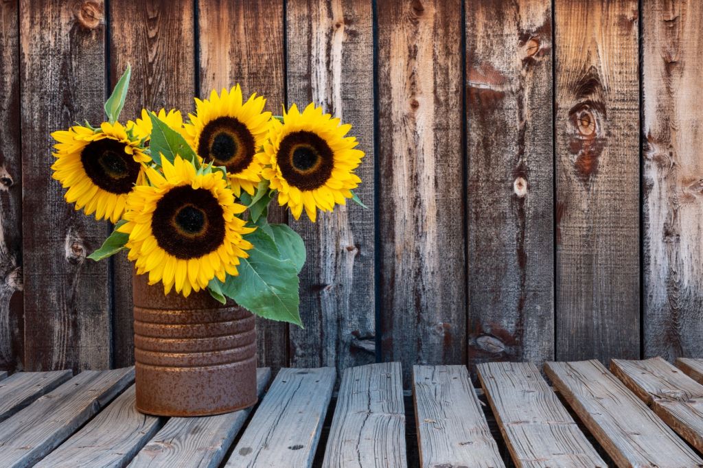 Vaas met zonnebloemen