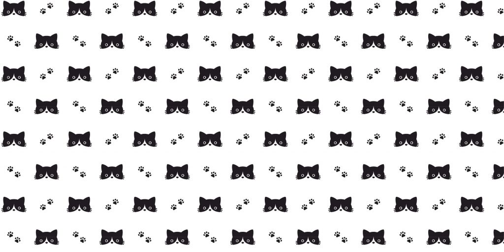 Zwarte kittens patroon