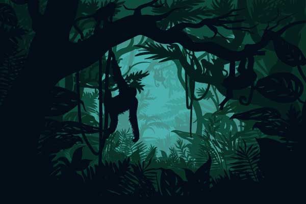 Aap in de jungle