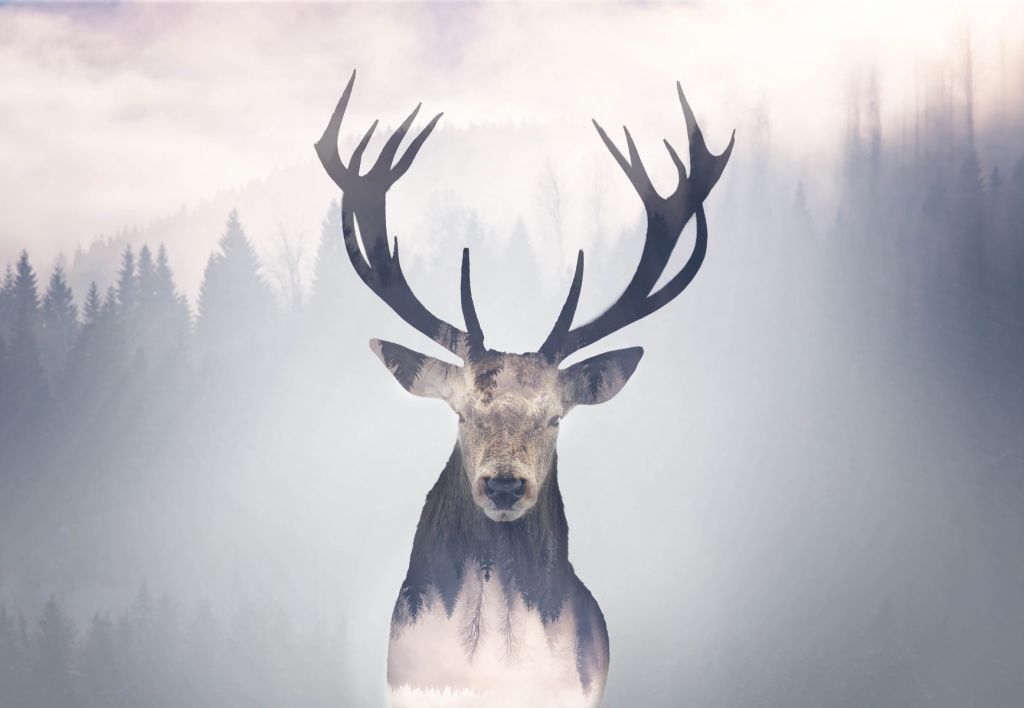 Rendier in het bos