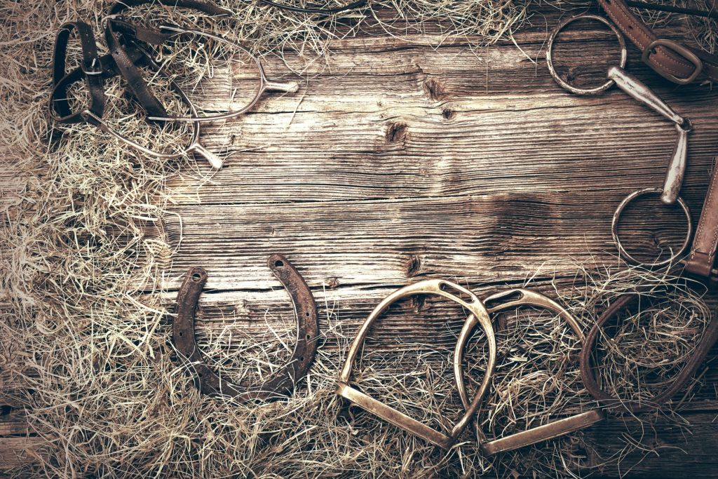 Uitrusting voor paarden