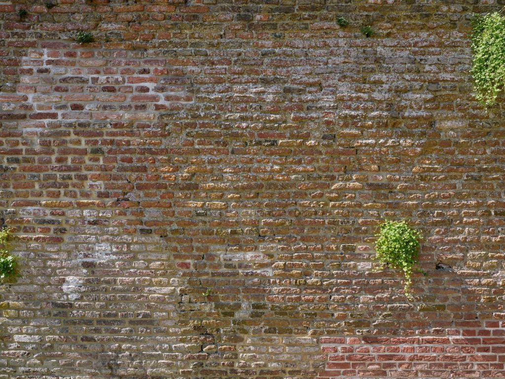 Oude stenen stadsmuur met plantjes