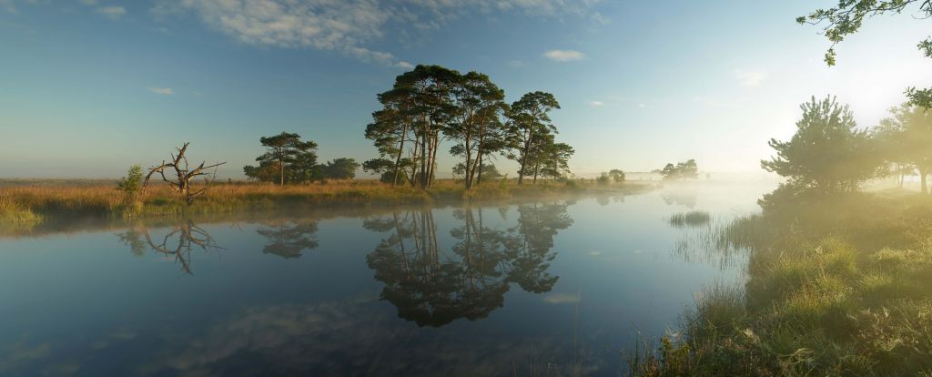 Weerspiegeling in heidegebied