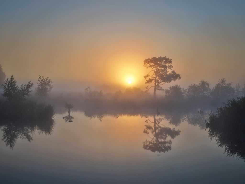 Mistige zonsopkomst