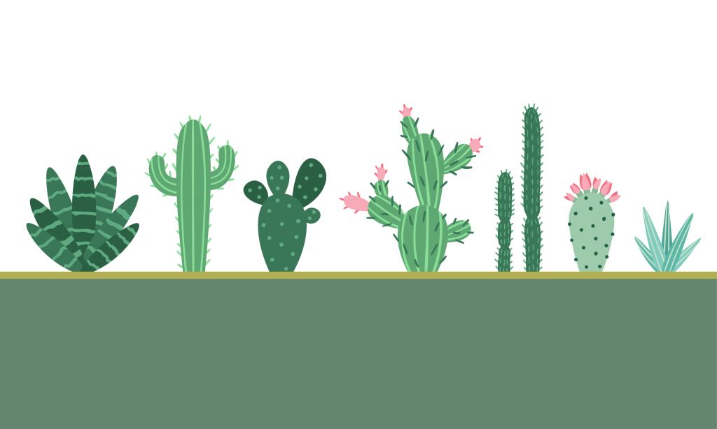 Groen vlak met cactussen