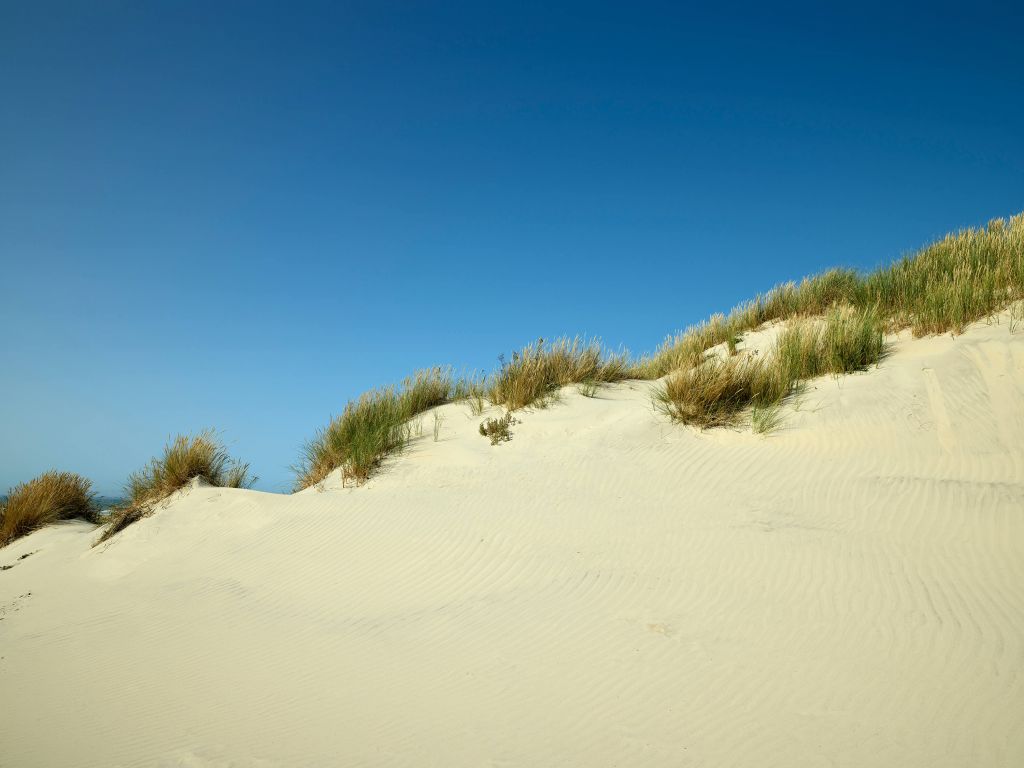 Duinen met blauwe lucht