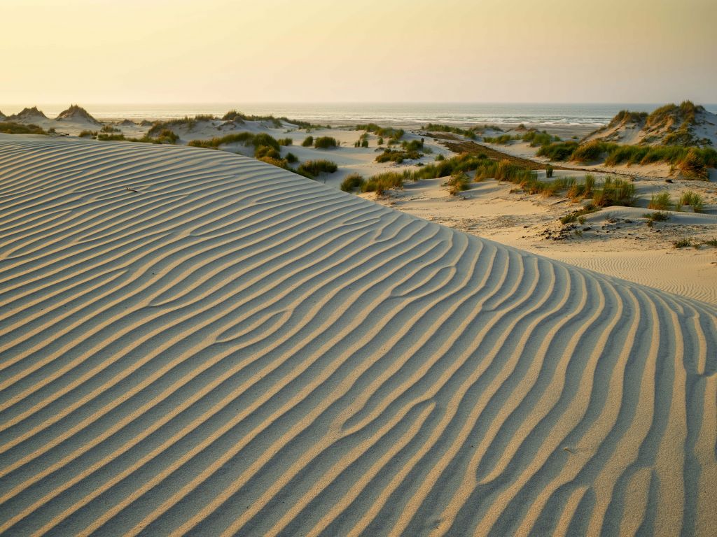 Duinen bij zonsondergang