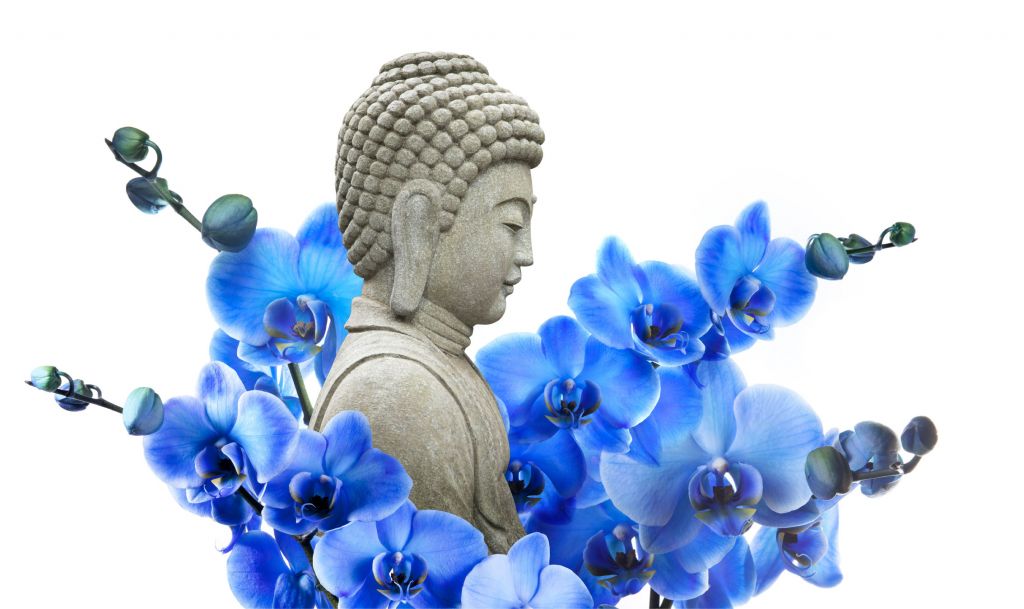 Buddha en orchideeën