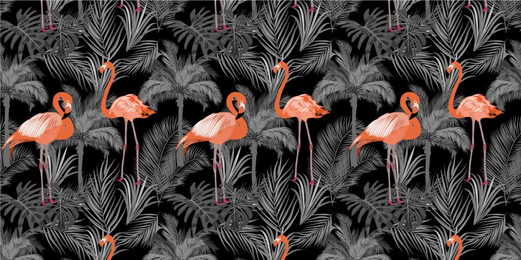 Flamingo's op zwart