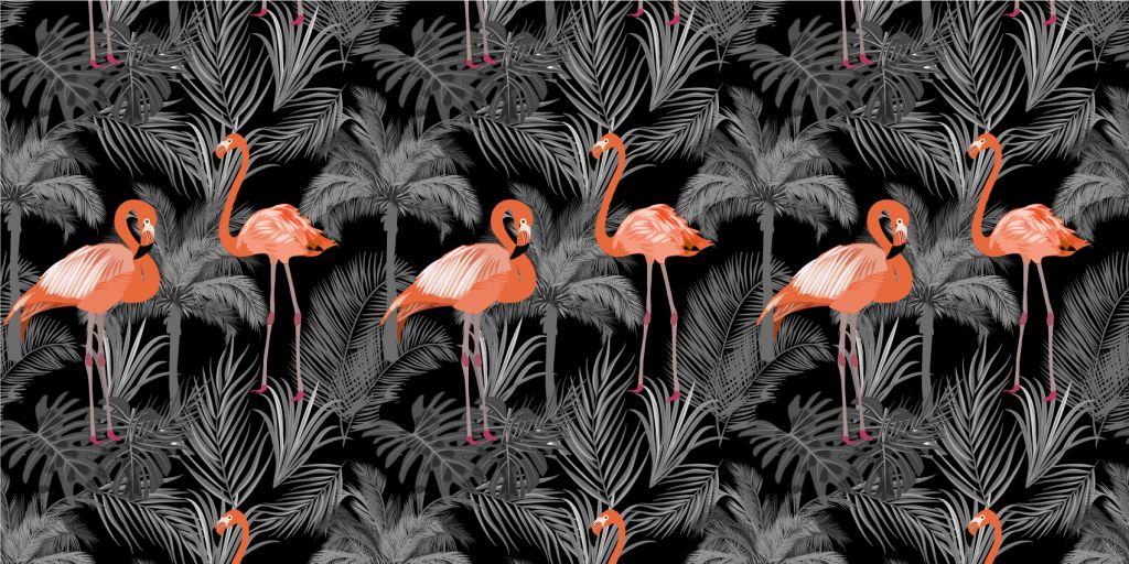 Flamingo's op zwart