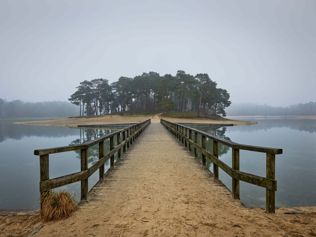 Eiland in de mist