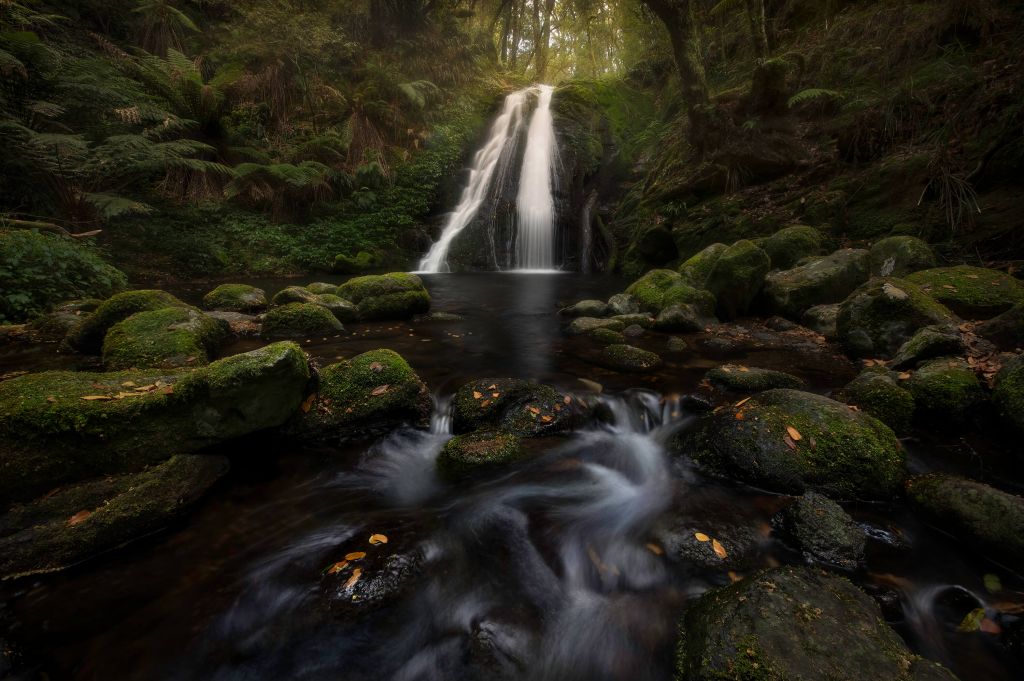 A Graceful Waterfall