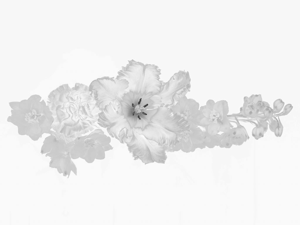 Bloemen boeket zwart-wit