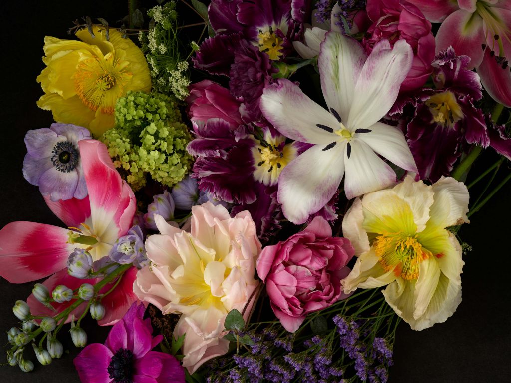 Kleurrijke bloemen