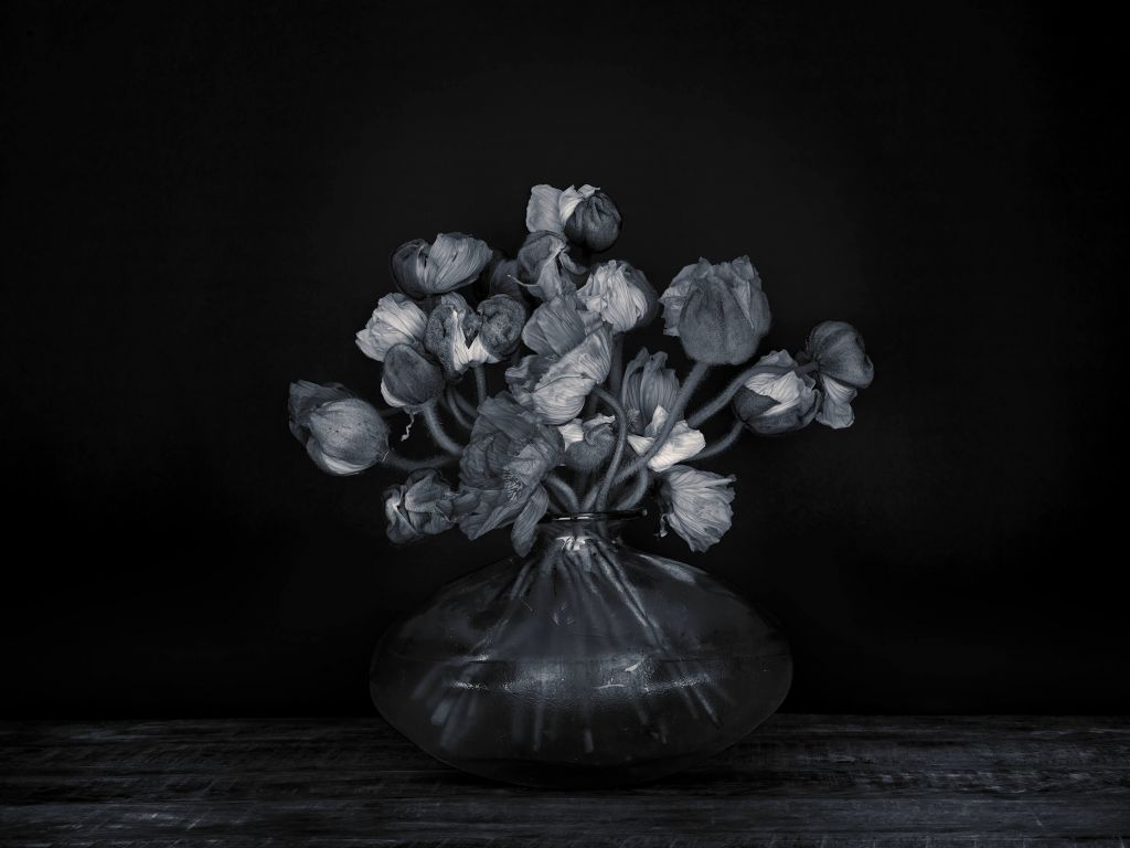 Schilderachtige bloemen zwart-wit