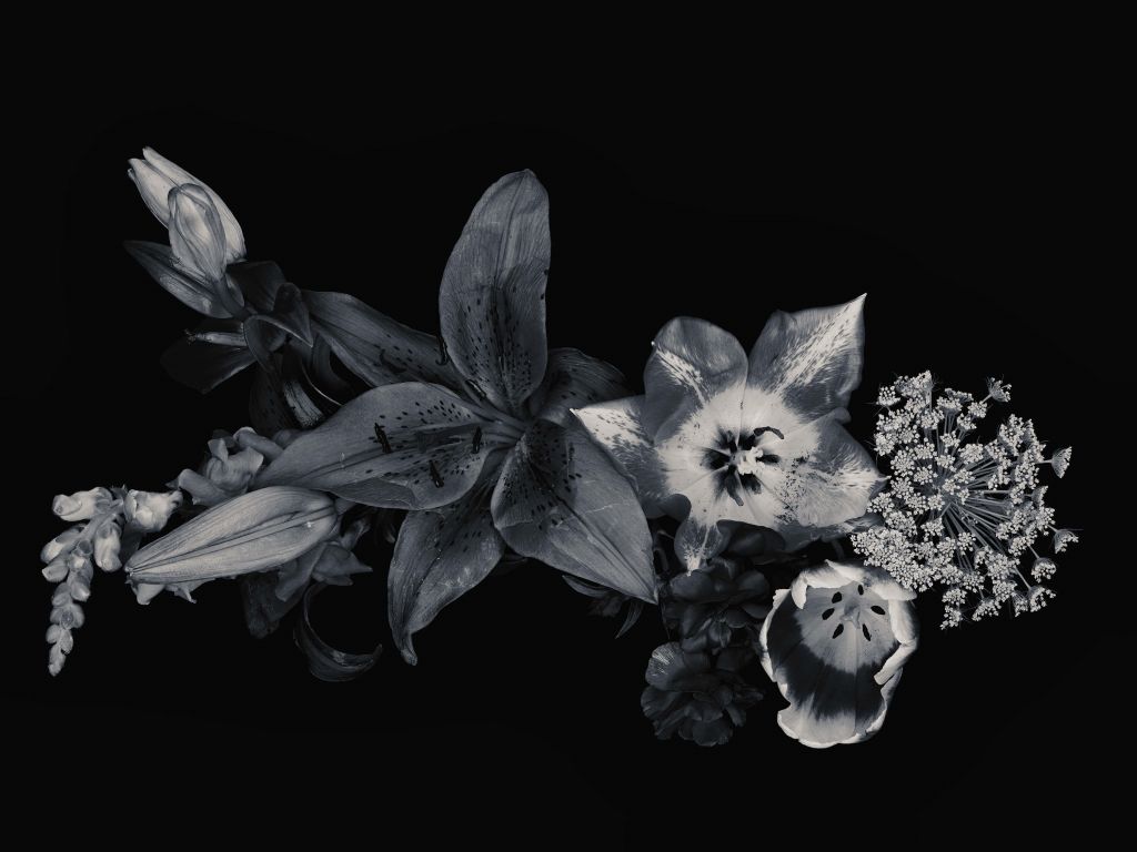 Samengestelde bloemen zwart-wit