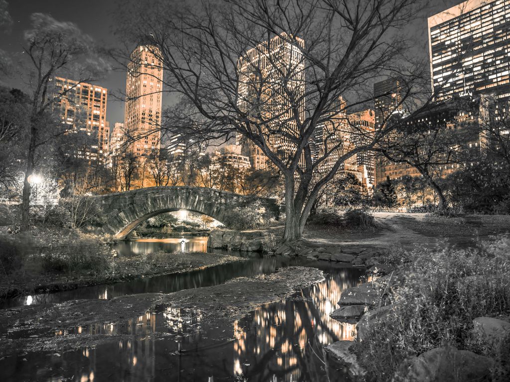 Central park in de avond