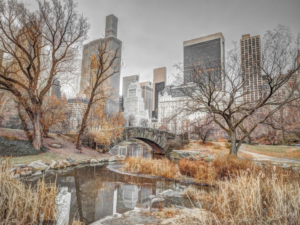 Central park in de winter