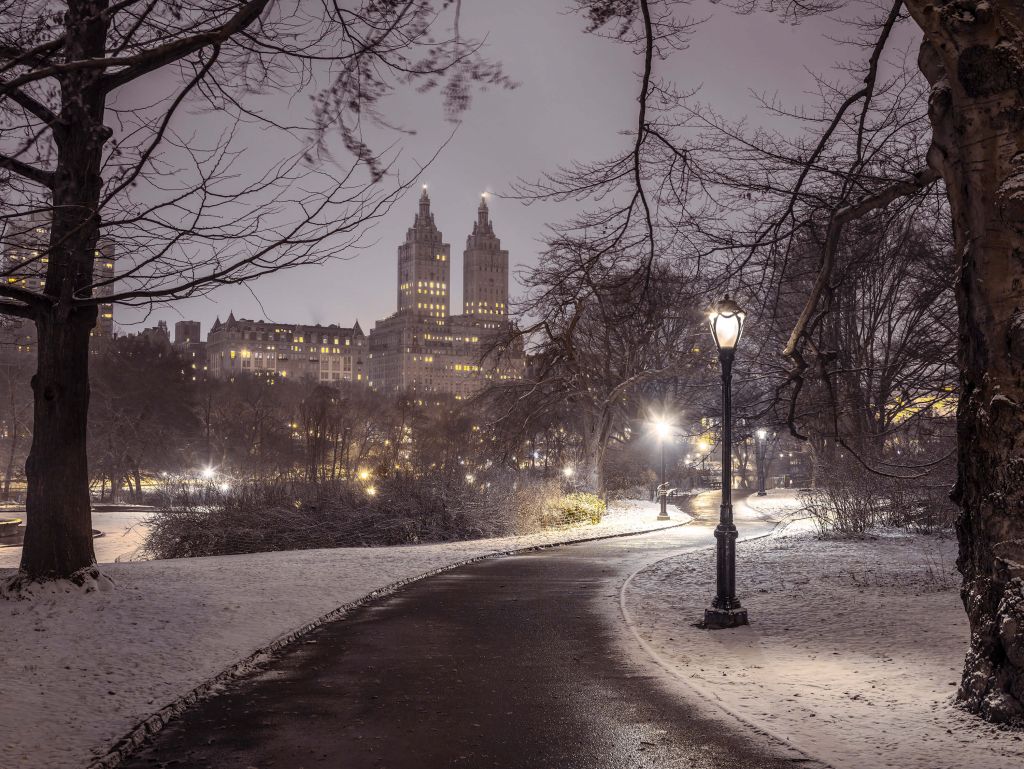 Besneeuwd Central park