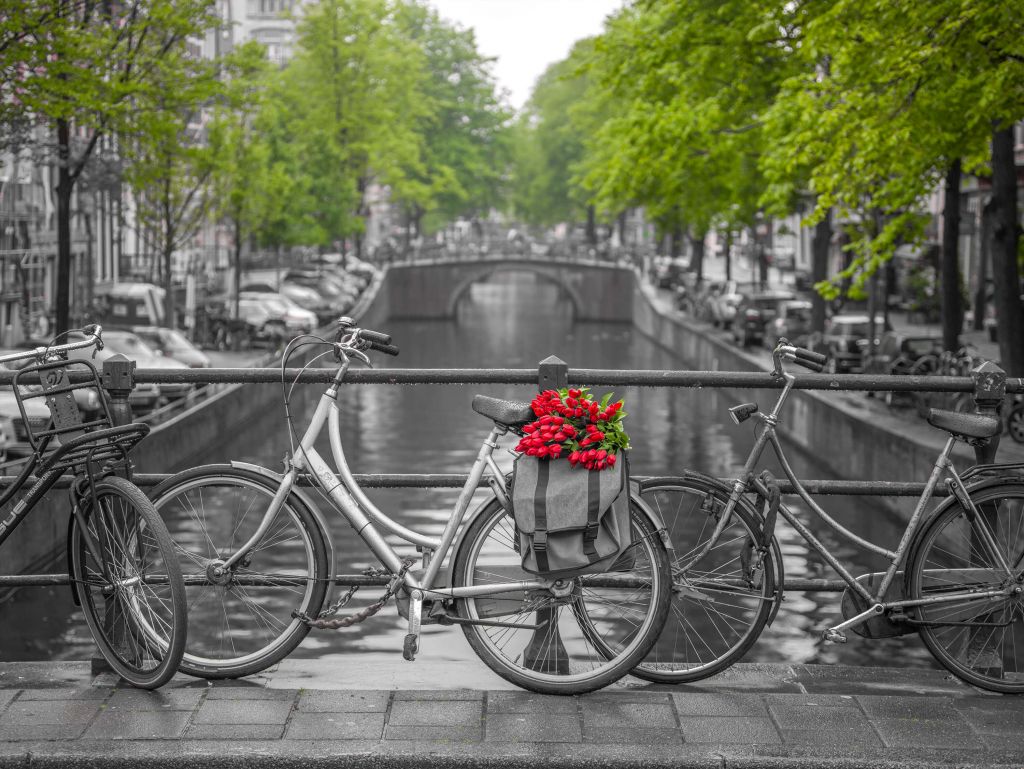 Fiets met bloemen