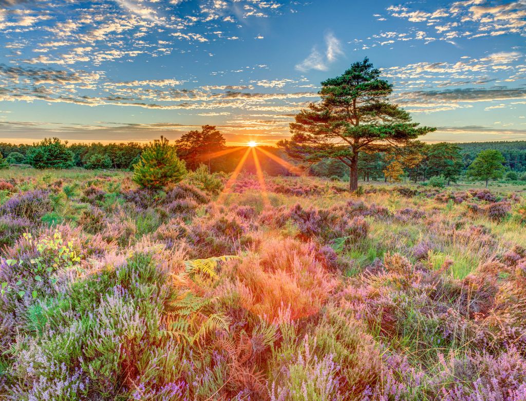 Zonsondergang op het platteland