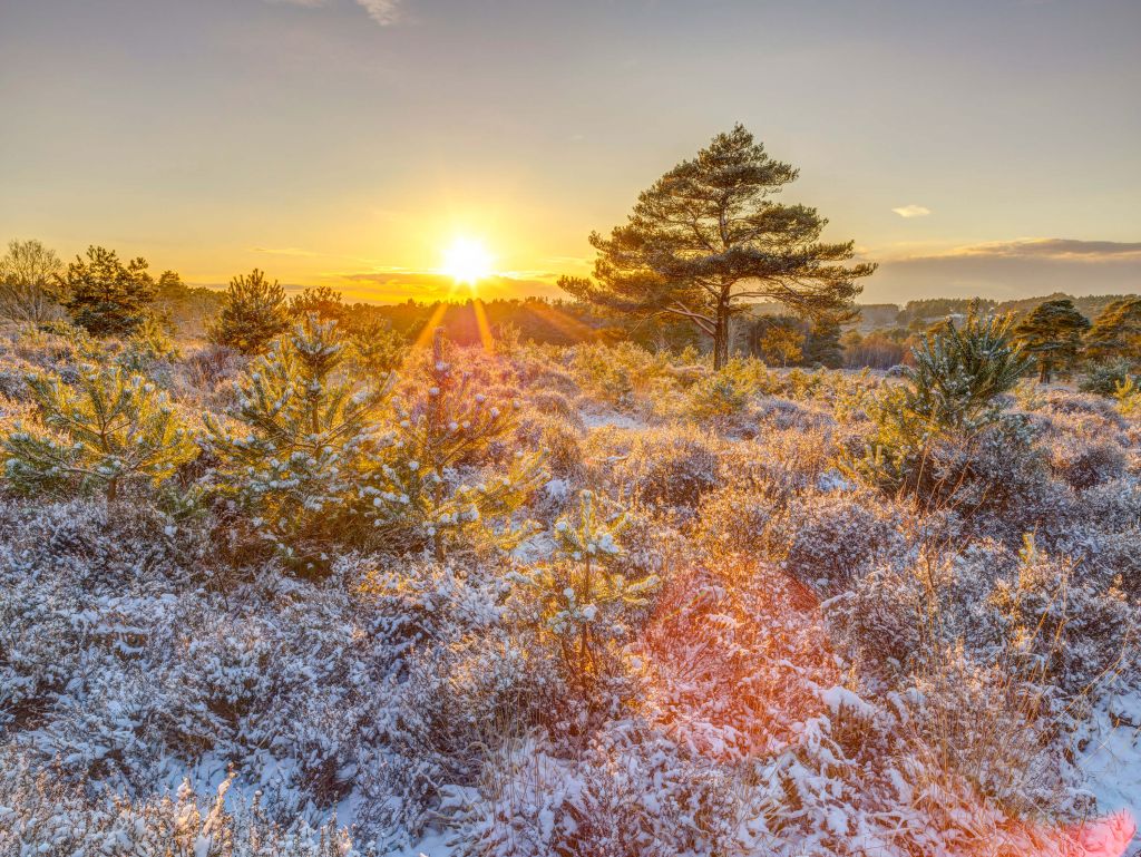 Winterse zonsondergang