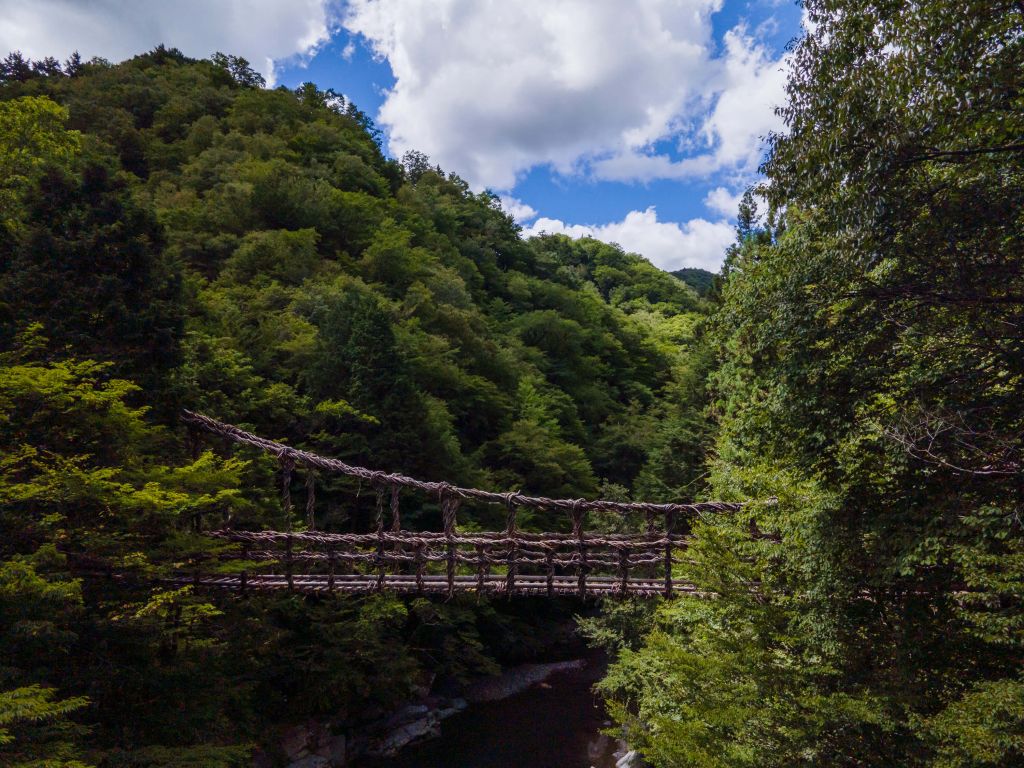 Brug in een jungle