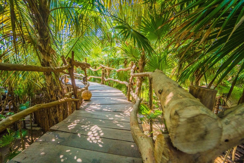 Tropische jungle brug