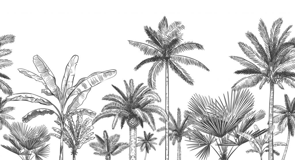 Getekende palmbomen