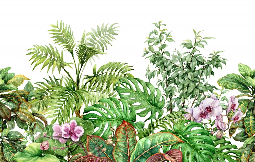 Tropische planten van waterverf