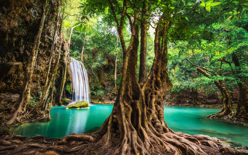 Waterval in tropische jungle