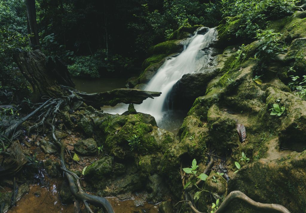 Waterval in het regenseizoen
