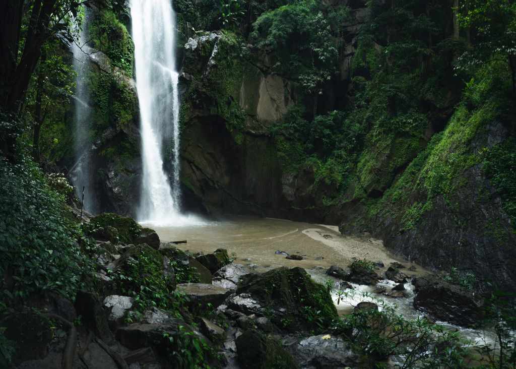 Waterval in diep bos