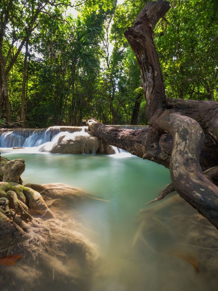 Waterval in jungle