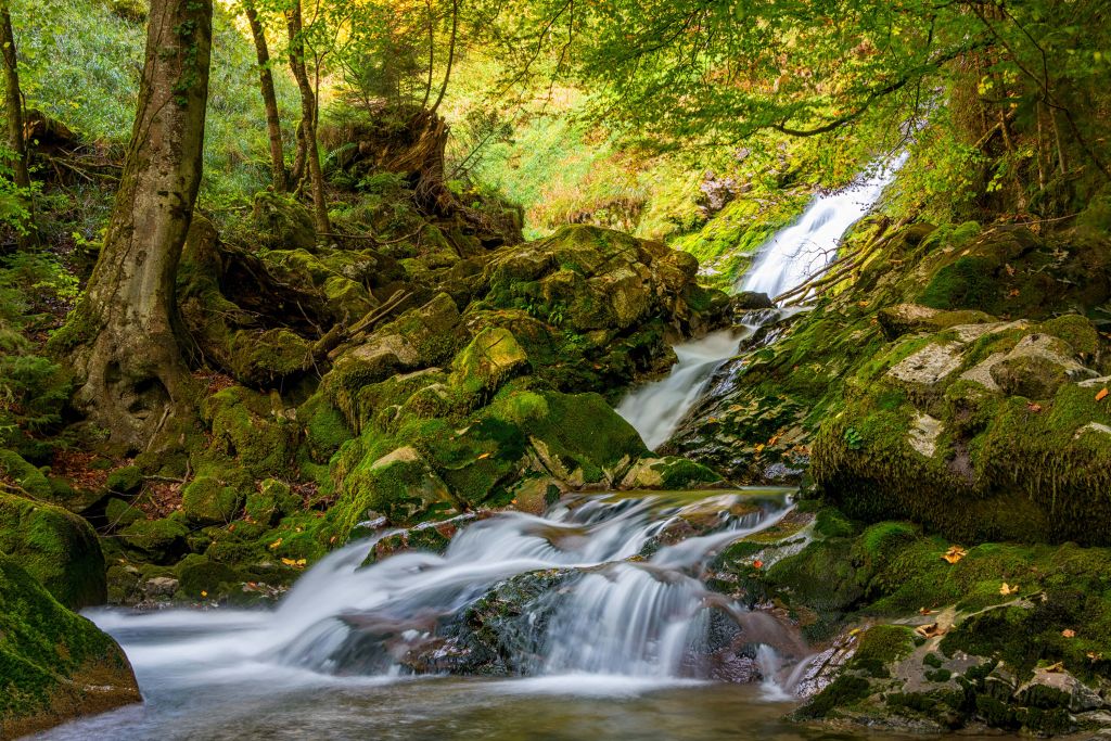 Waterval midden in het bos