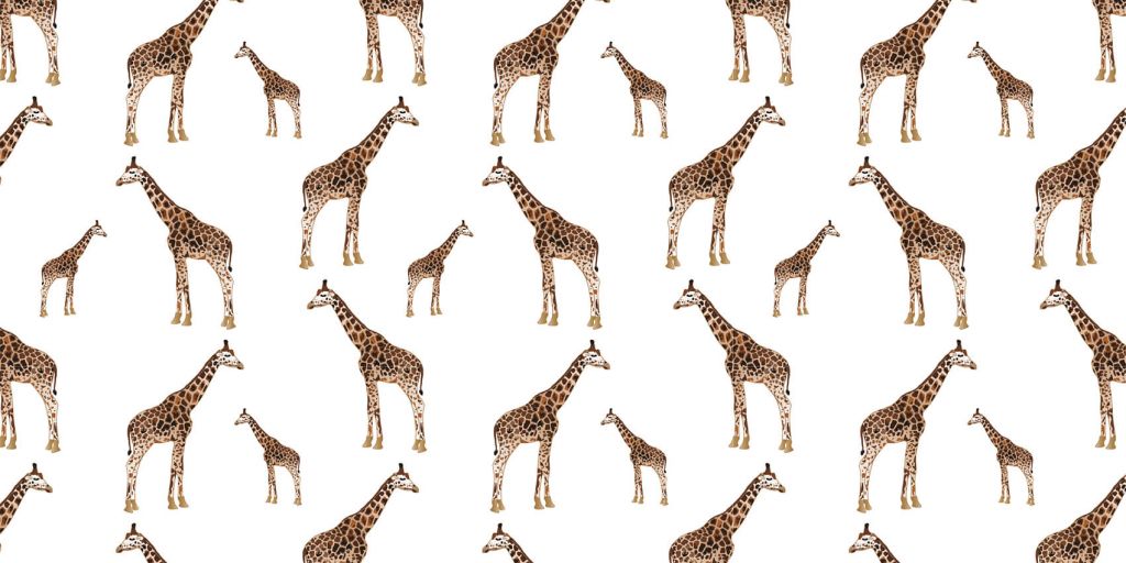 Giraffen