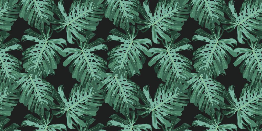 Monstera palmbladeren