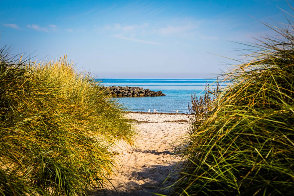 Strand aan de Oostzeekust