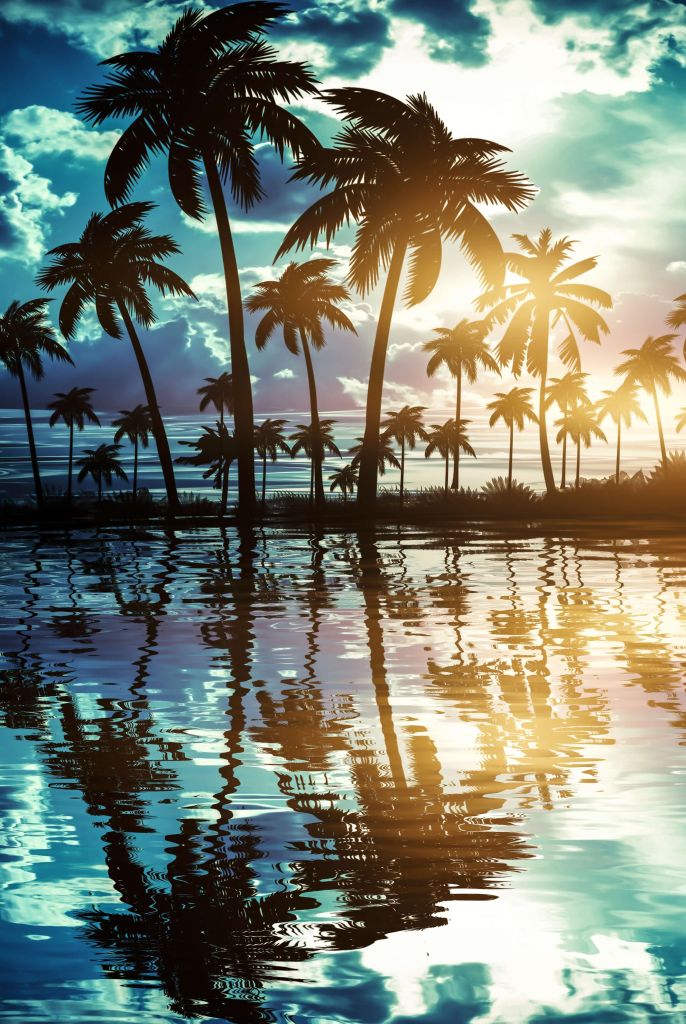 Nachtlandschap met palmbomen