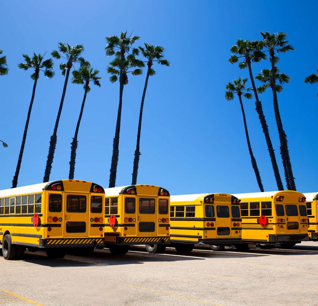 Schoolbussen bij palmbomen