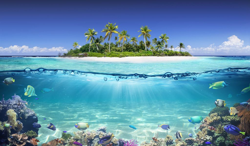 Tropisch eiland en koraalrif