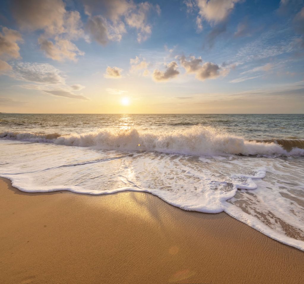 Zomer op het strand